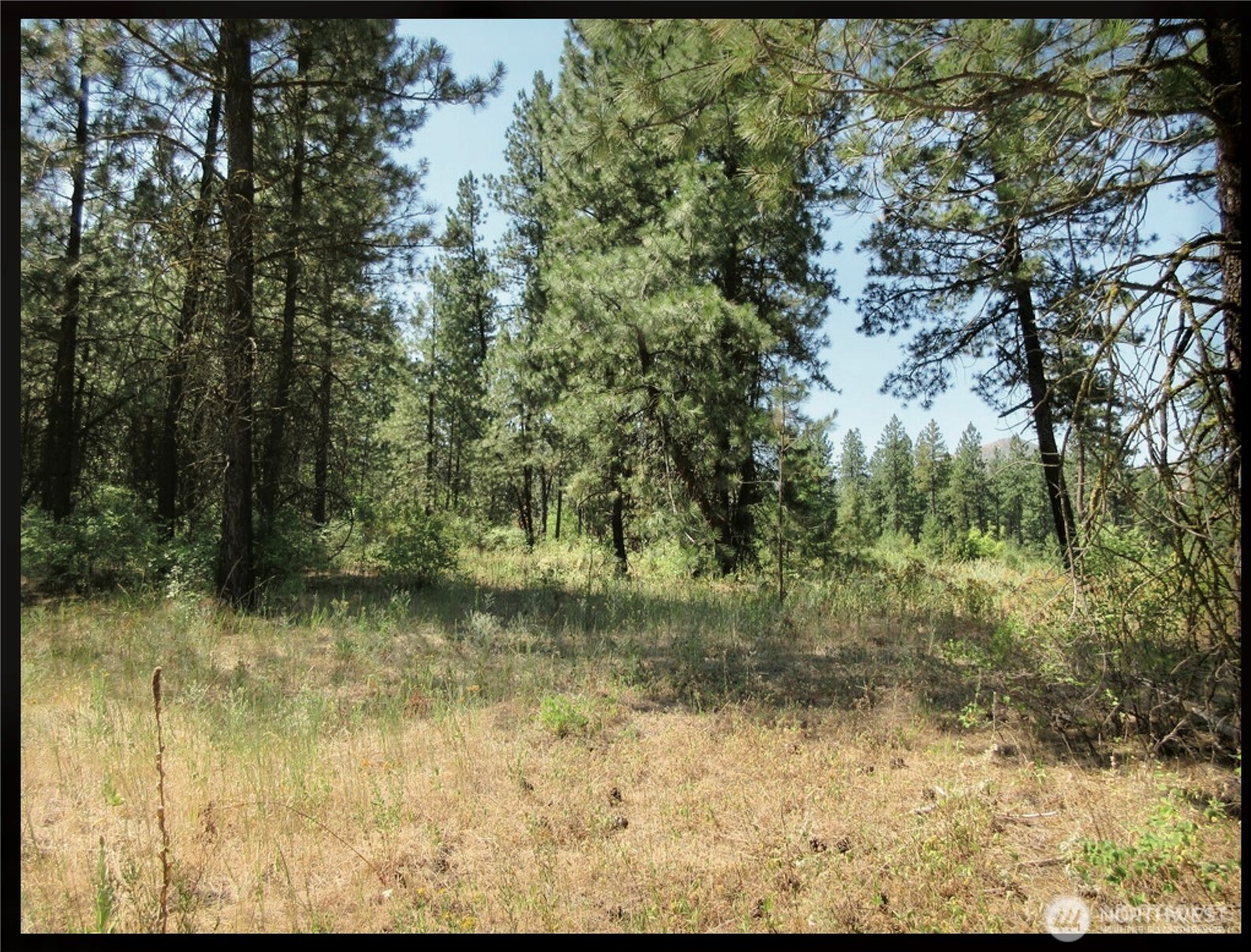 -tbd East San Poil Road Keller, WA 99140 - Photo 12 of 32 a view of a yard