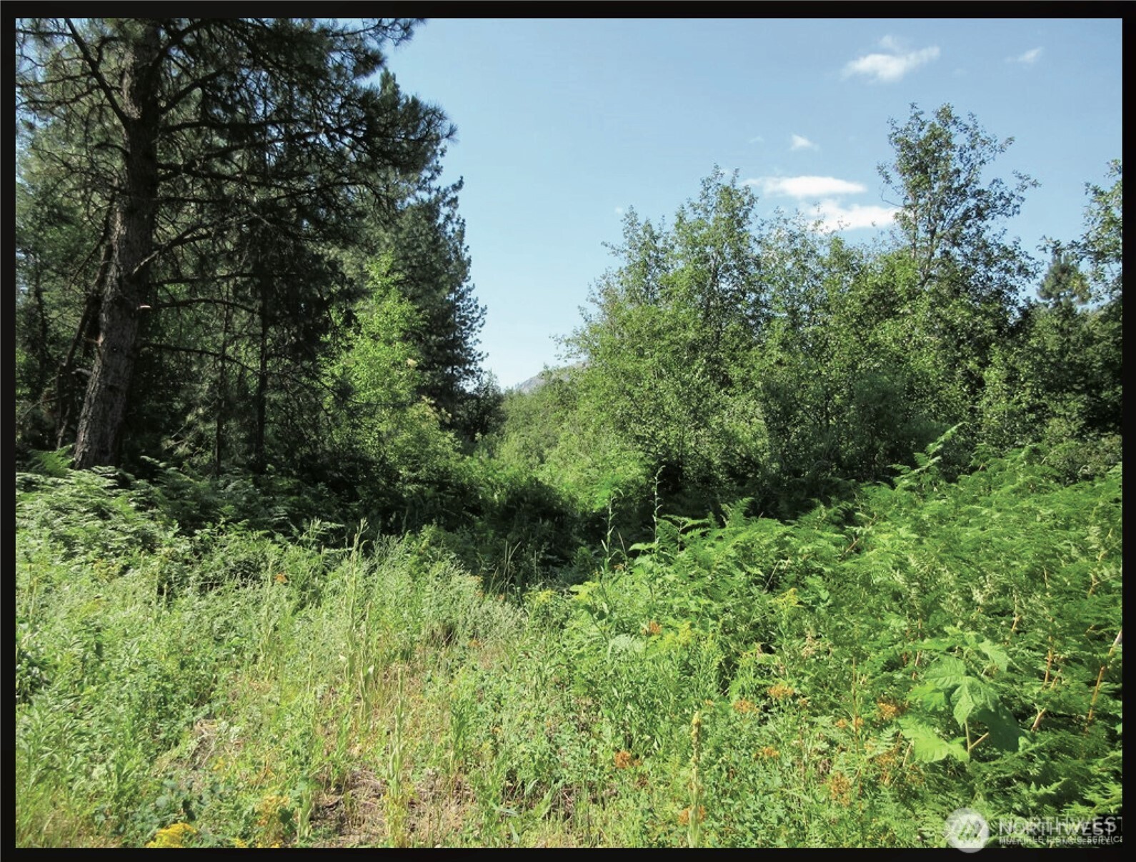 -tbd East San Poil Road Keller, WA 99140 - Photo 16 of 32 a view of a garden