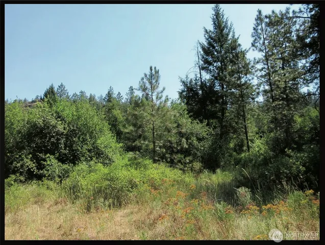 a view of a field of grass and trees