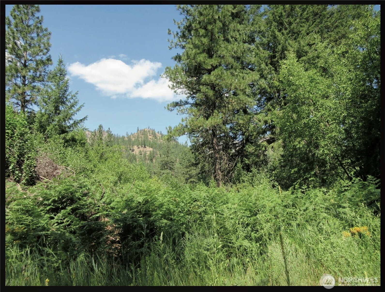 -tbd East San Poil Road Keller, WA 99140 - Photo 19 of 32