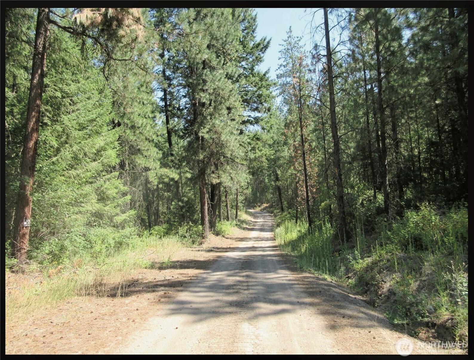-tbd East San Poil Road Keller, WA 99140 - Photo 20 of 32 a view of a yard with plants and trees