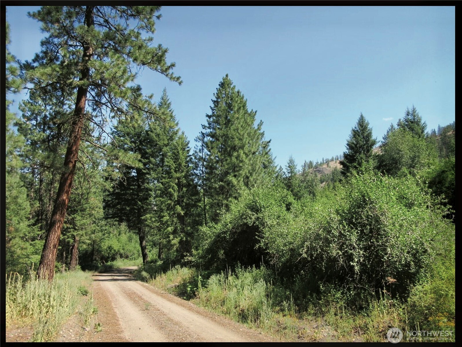 -tbd East San Poil Road Keller, WA 99140 - Photo 22 of 32 a view of a yard