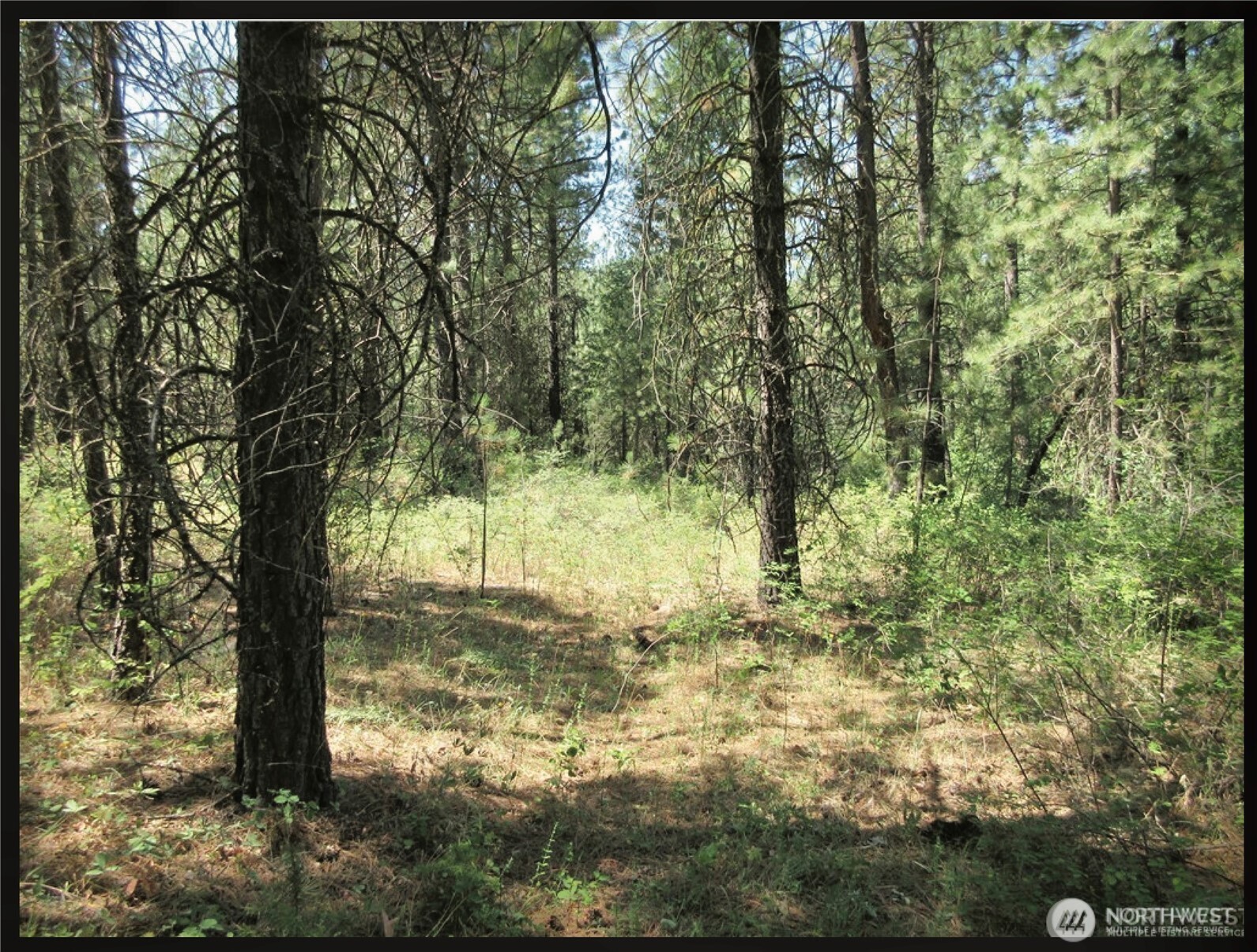 -tbd East San Poil Road Keller, WA 99140 - Photo 24 of 32 a backyard of a house with lots of green space