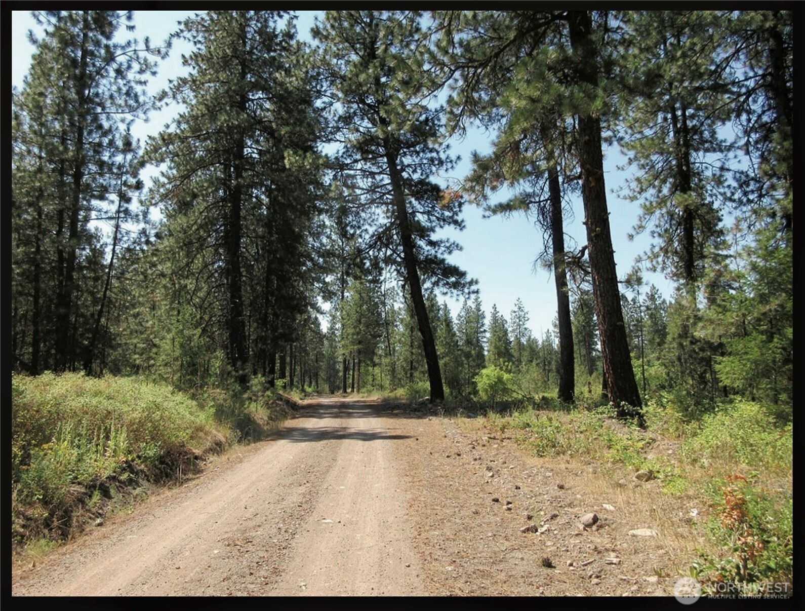 -tbd East San Poil Road Keller, WA 99140 - Photo 27 of 32 a view of a yard with a tree