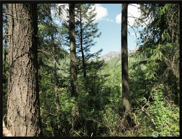 a view of a lake from a yard