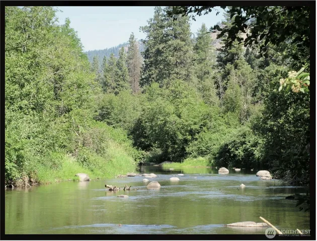 a view of a forest with a forest
