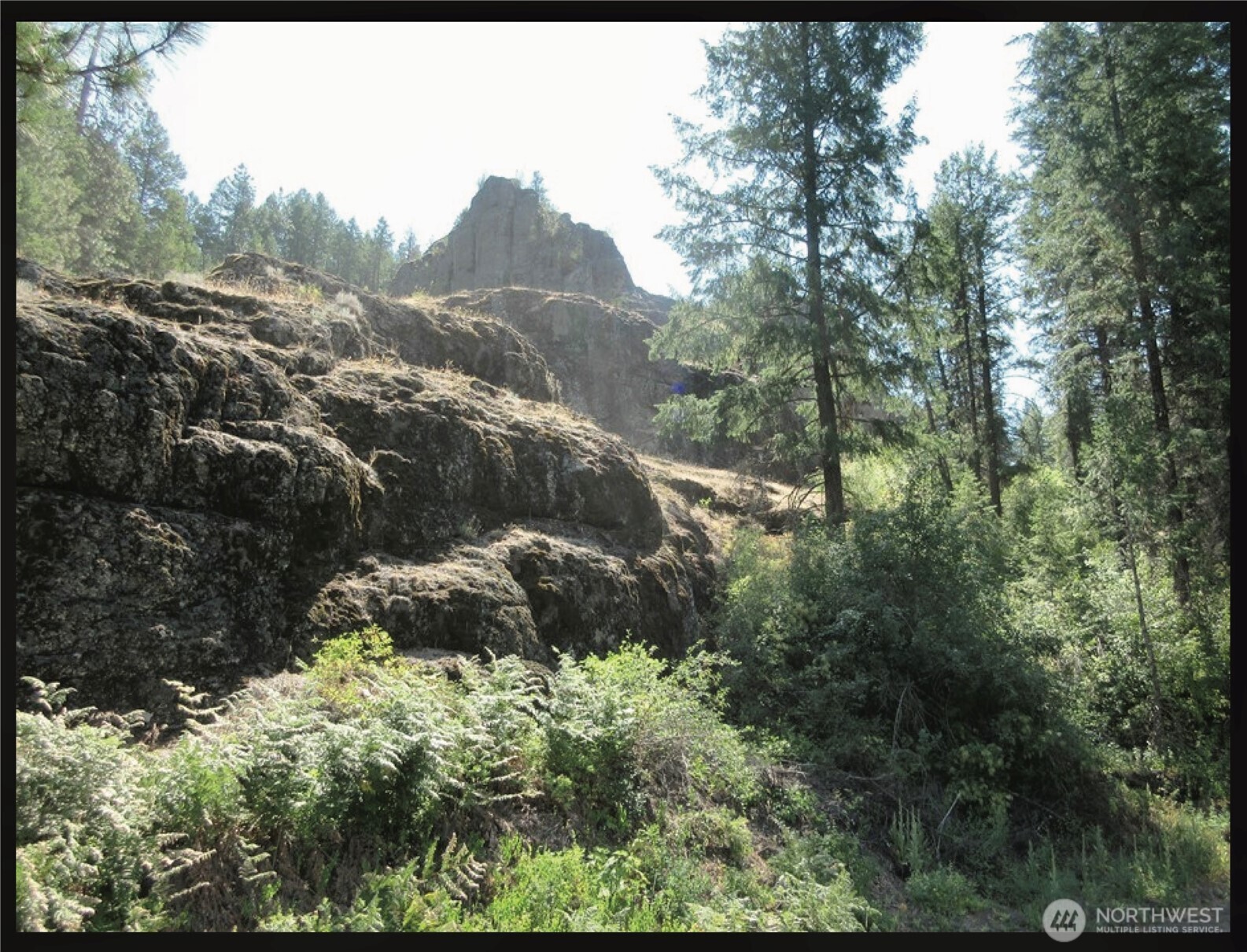 -tbd East San Poil Road Keller, WA 99140 - Photo 30 of 32 a view of a forest with a forest
