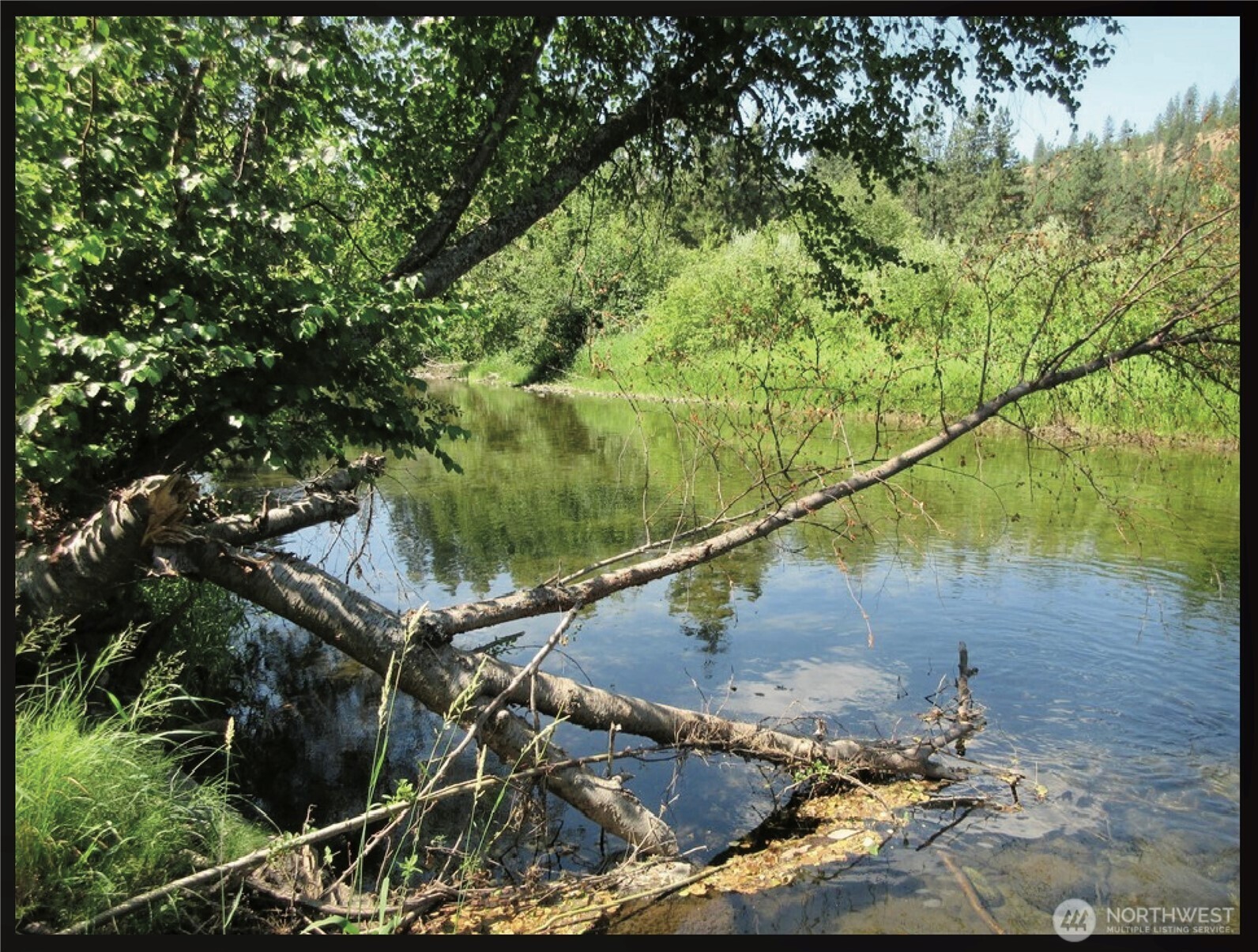 -tbd East San Poil Road Keller, WA 99140 - Photo 31 of 32 a backyard of a house with lots of green space