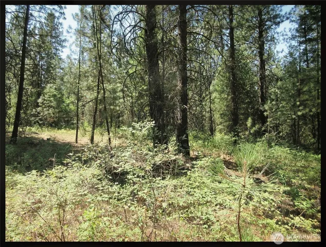 a view of backyard with green space