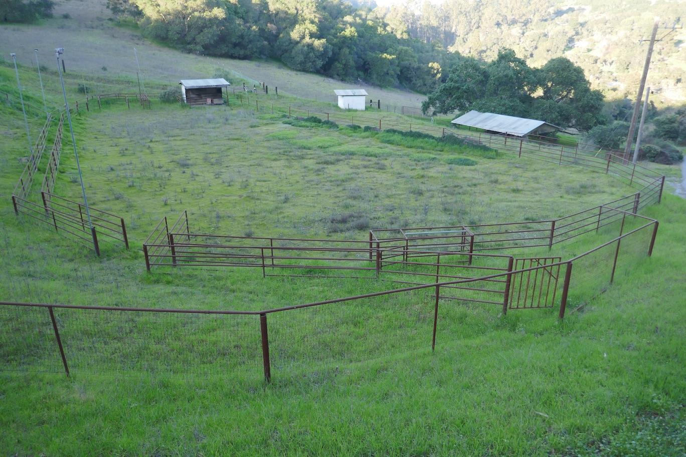 830 Cole Road Aromas, CA 95004 - Photo 7 of 14 Gallery Image 7