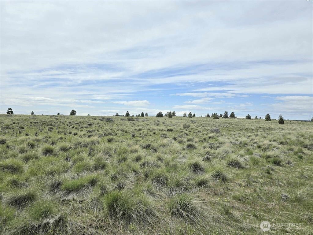 149 Middle Road Bickleton, WA 99322 - Photo 7 of 19 Gallery Image 7
