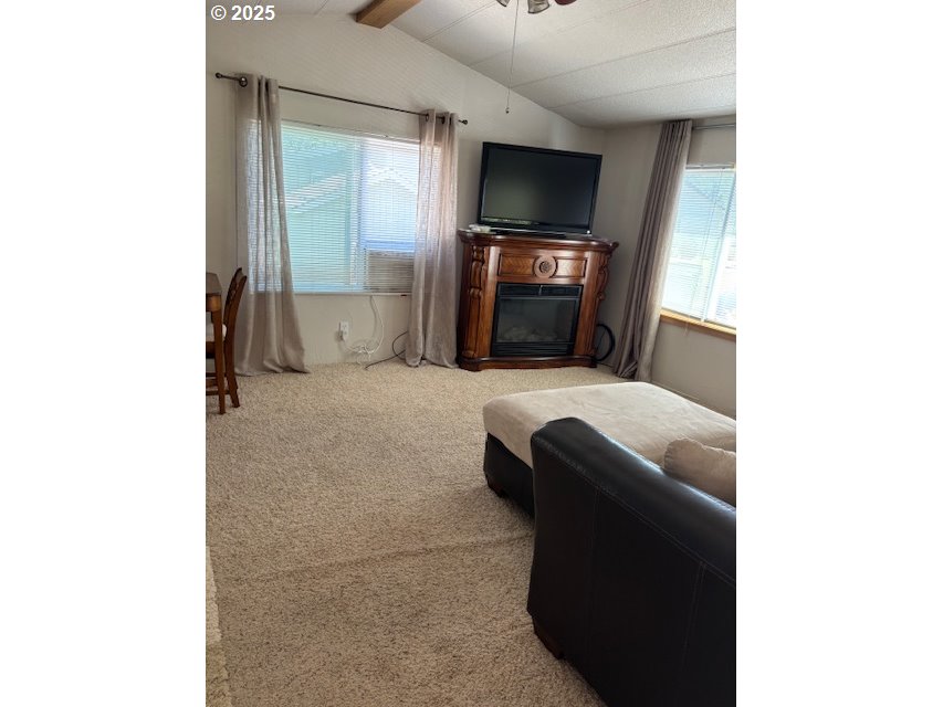 39140 Dexter Road, Unit 60 Dexter, OR 97431 - Photo 7 of 20 Kitchen