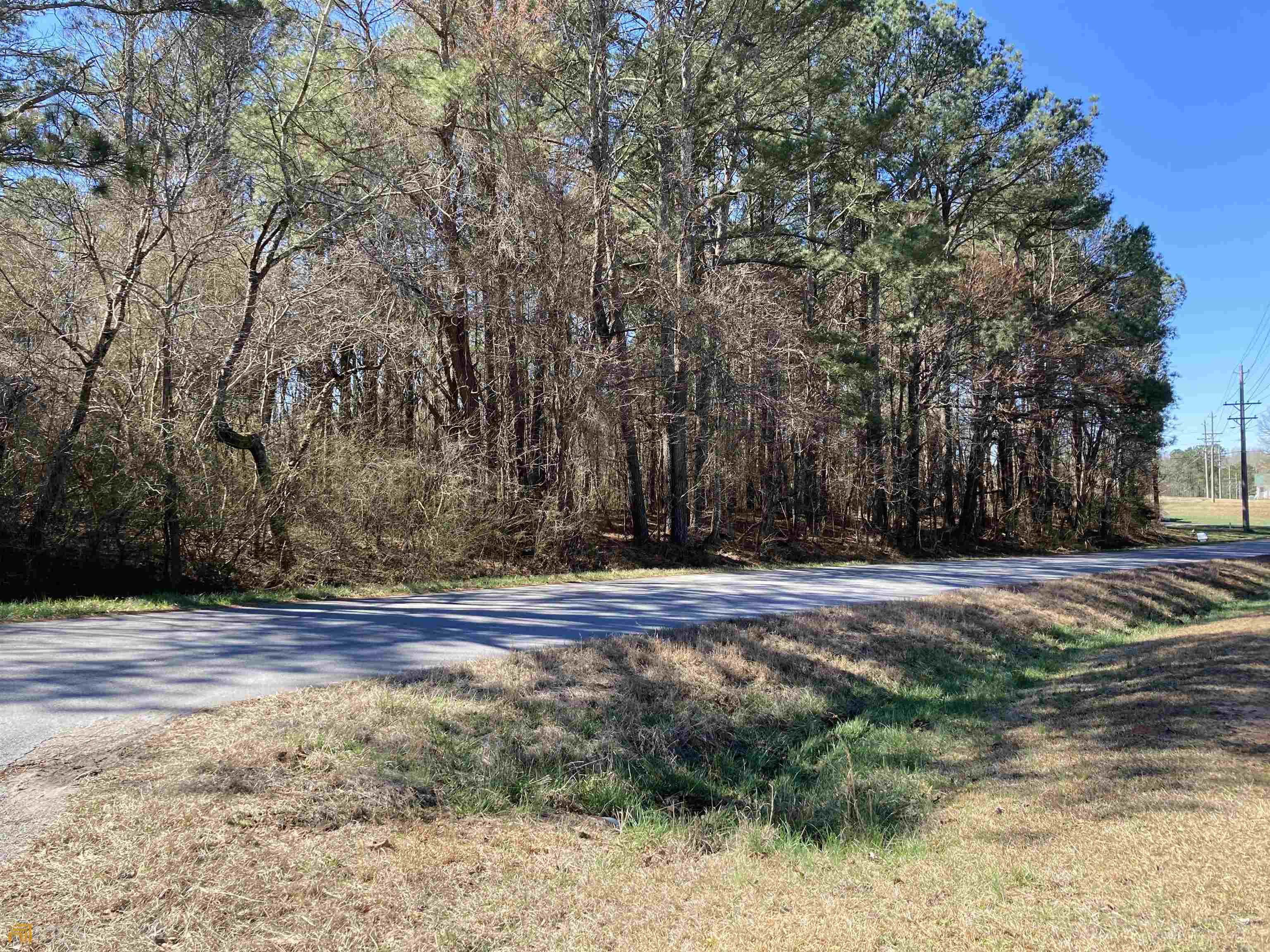 170 Meadowbrook Road Carrollton, GA 30117 - Photo 1 of 1 a view of a yard with large trees