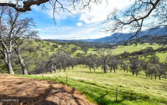 a front view of house with yard and trees around