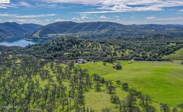 a view of a forest with mountains in the background