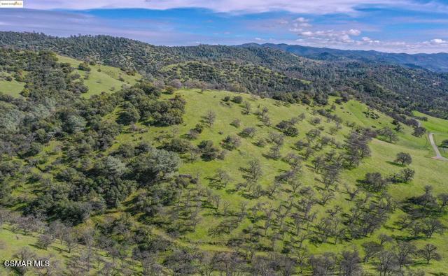 13300 Lone Bend Road Jamestown, CA 95327 - Photo 49 of 50 a view of a forest with mountains in the background