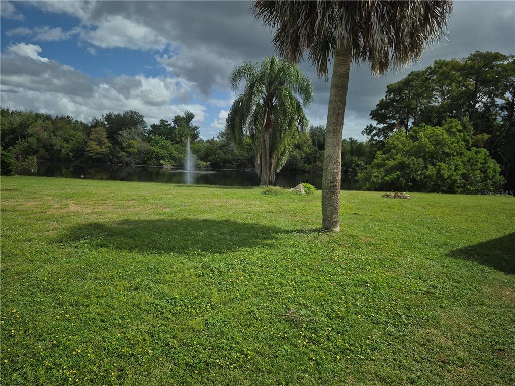 13710 Whitby Road Hudson, FL 34667 - Photo 20 of 21 a view of a park with a palm tree