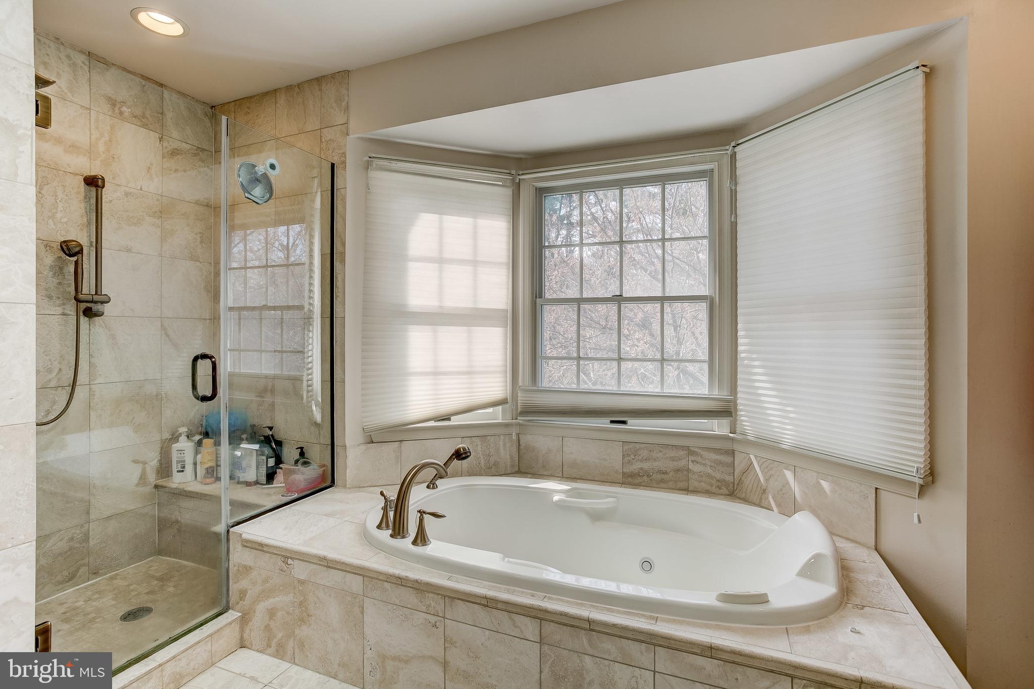 15925 York Road Sparks, MD 21152 - Photo 29 of 51 Master bath