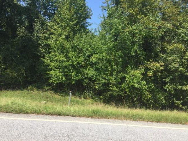 0 Harlem Wrens Road Harlem, GA 30814 - Photo 1 of 1 Main View