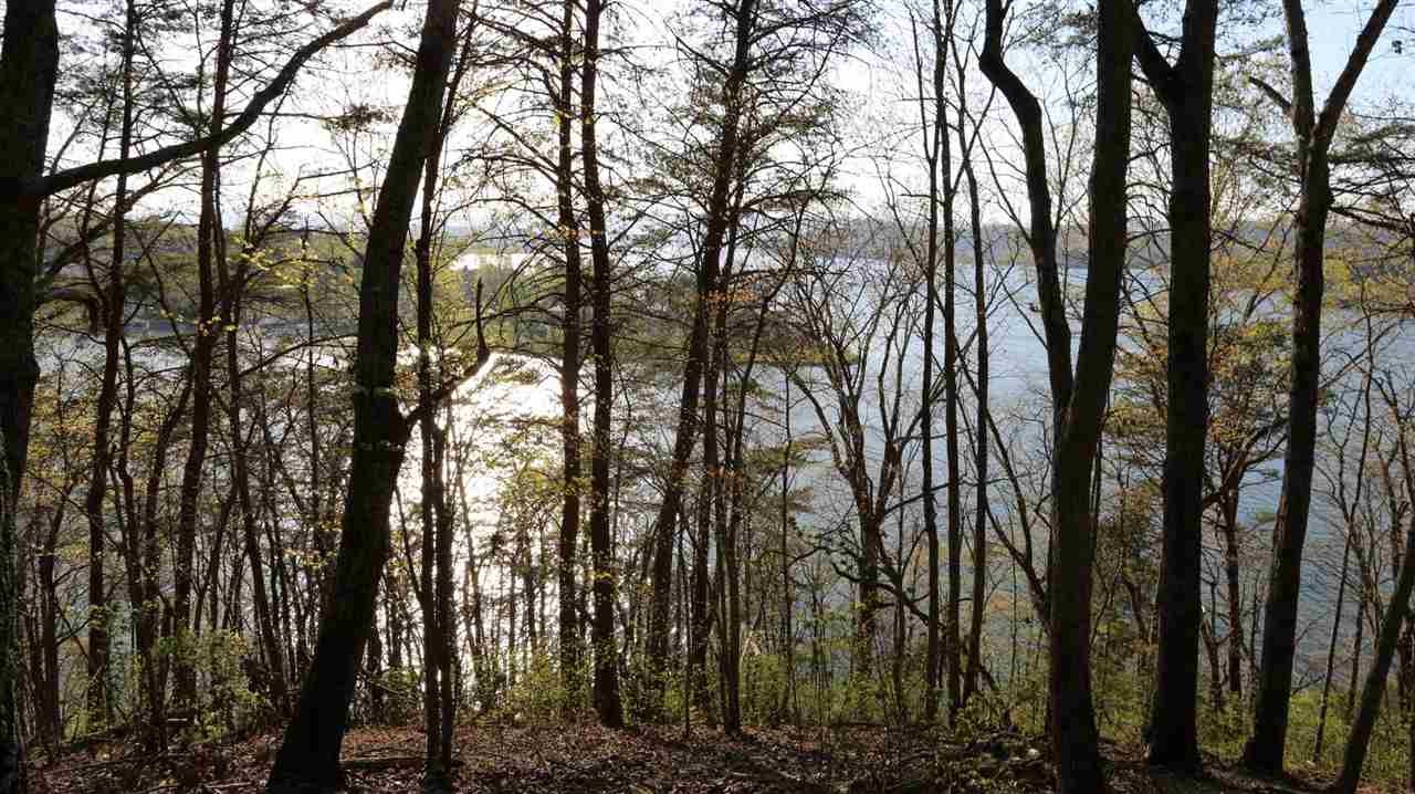 0 Oak Tree Road Spring City, TN 37381 - Photo 2 of 5 Gallery Image 2