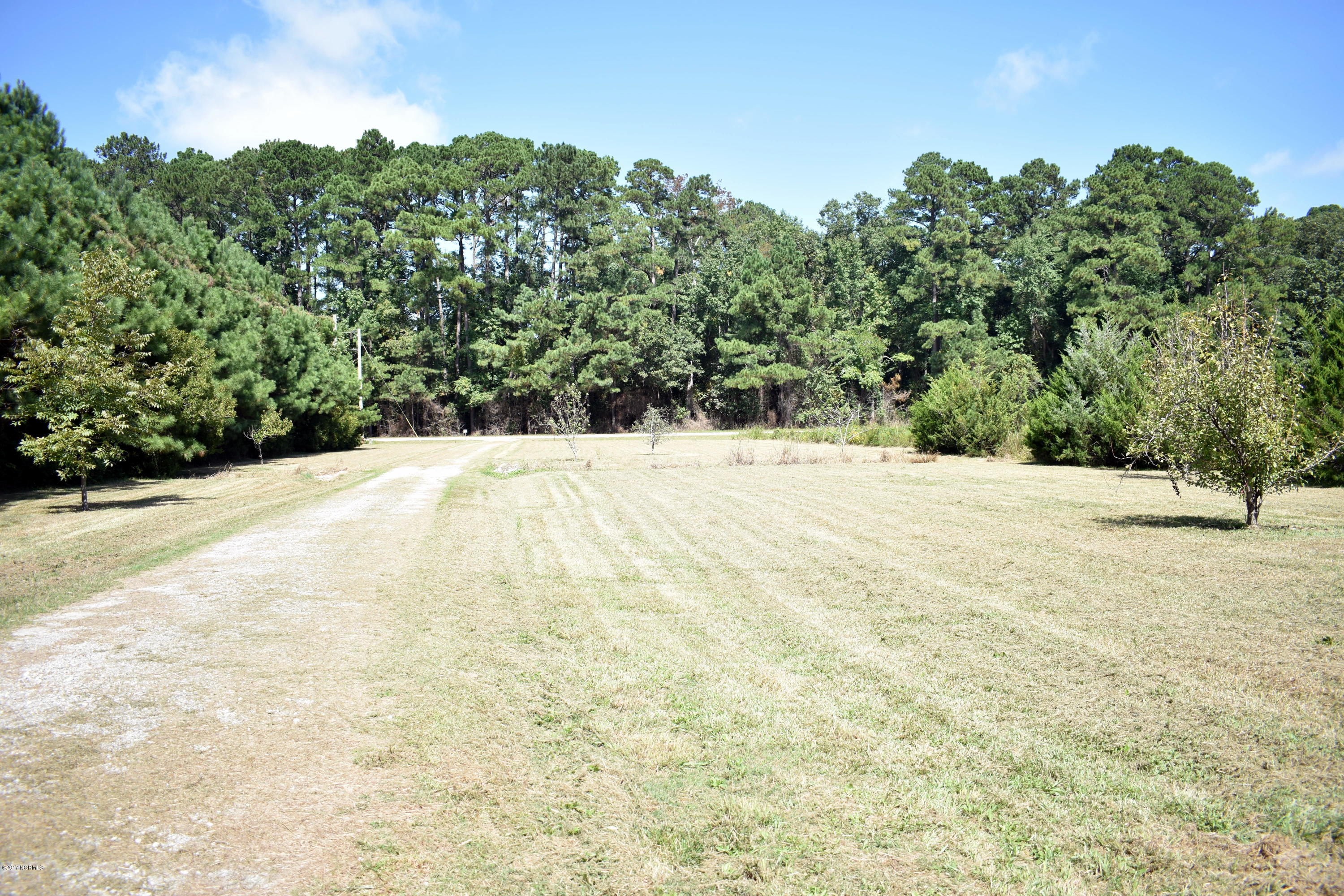 5075 Rainwater Road Lucama, NC 27851 - Photo 22 of 23 (View towards road)