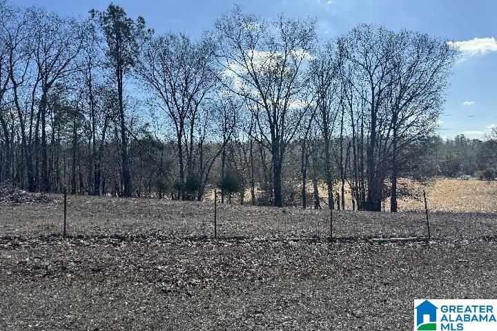 1036 Rushing Springs Road Lincoln, AL 35096 - Photo 15 of 58