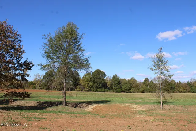 $39,000 | 36 Pin Oak Road, Michigan City, MS 38647