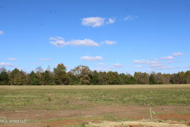 $39,000 | 36 Pin Oak Road, Michigan City, MS 38647