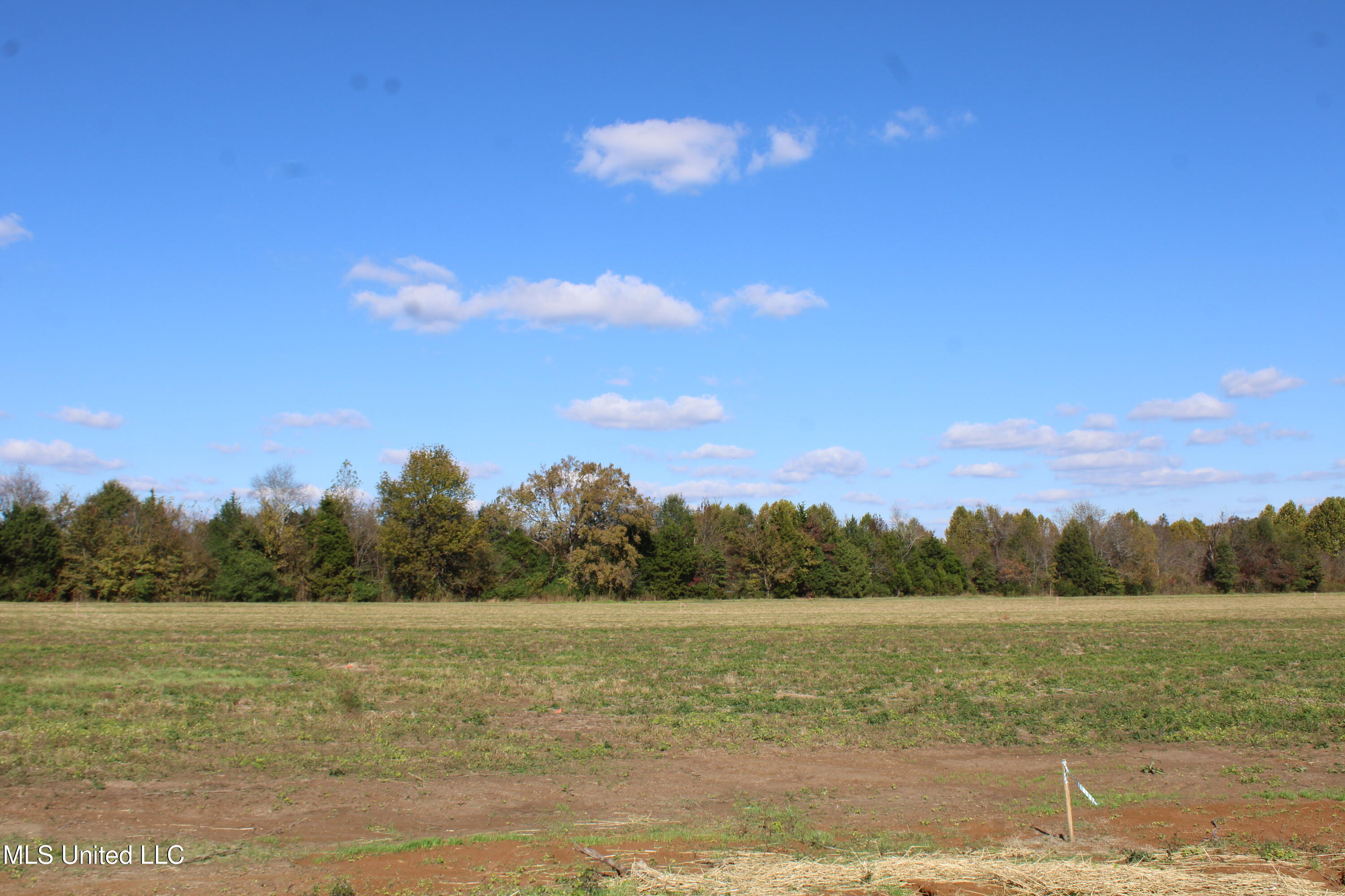 36 Pin Oak Road Michigan City, MS 38647 - Photo 19 of 22 IMG_6915