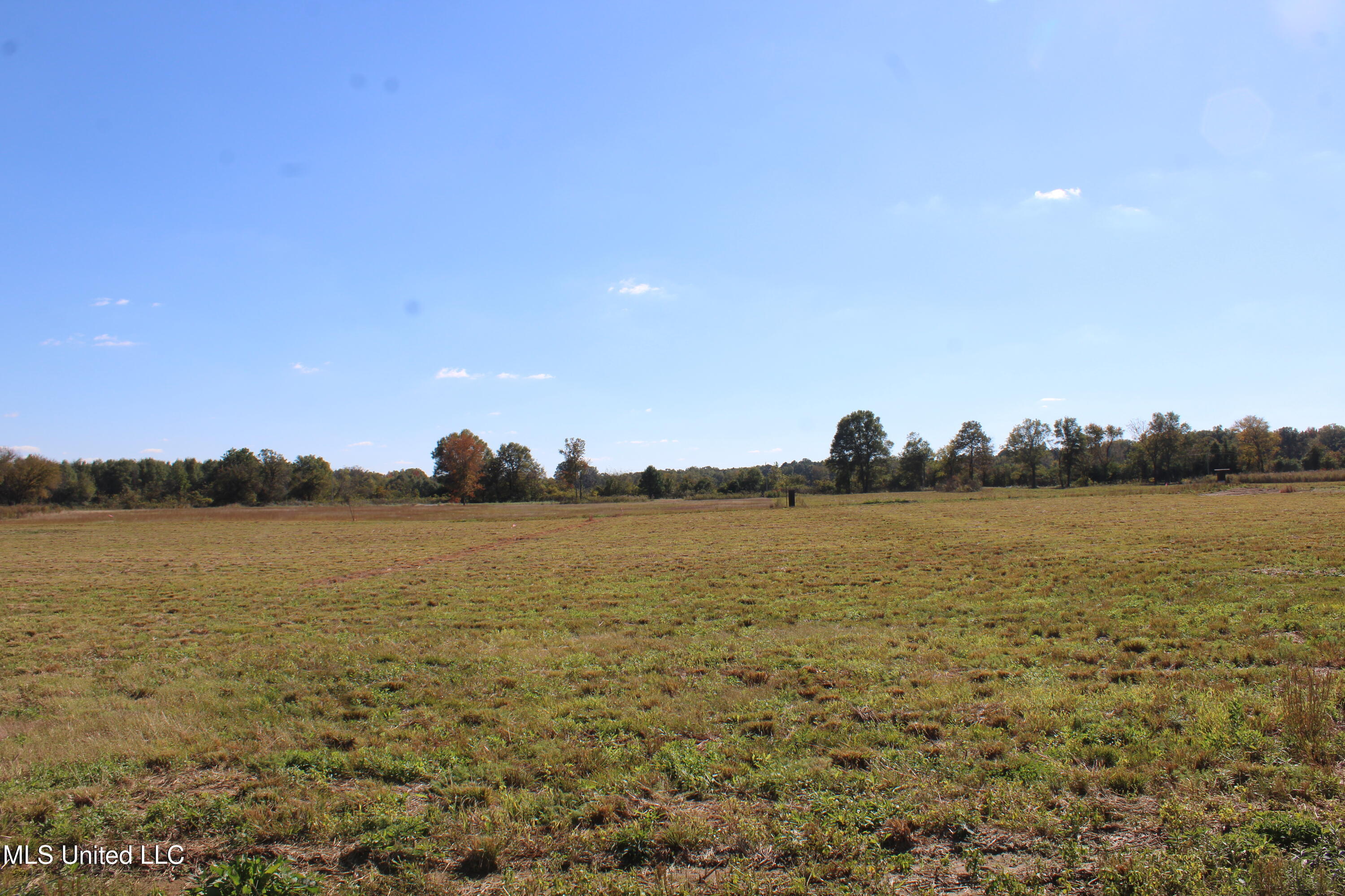 36 Pin Oak Road Michigan City, MS 38647 - Photo 6 of 22 IMG_6902