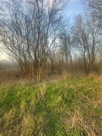 $14,900 | 0 River Lane, Marksville, LA 71351