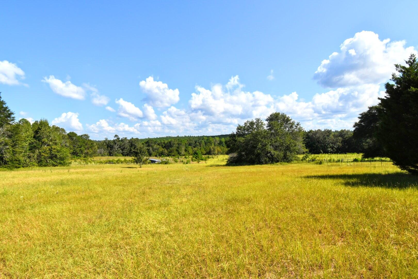 5209 Neely Road Hephzibah, GA 30815 - Photo 36 of 51 IMG_7707