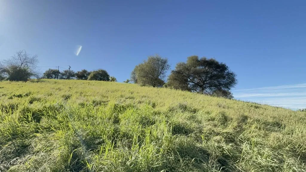 0 Palomar Drive Fallbrook, CA 92028 - Photo 17 of 21