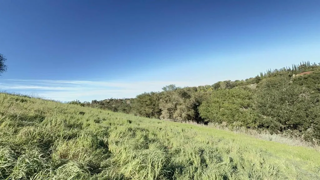 0 Palomar Drive Fallbrook, CA 92028 - Photo 18 of 21