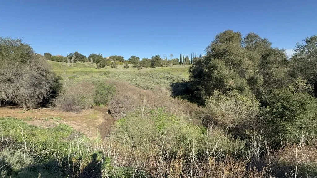 0 Palomar Drive Fallbrook, CA 92028 - Photo 20 of 21