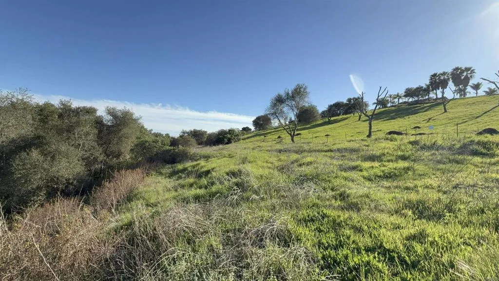 0 Palomar Drive Fallbrook, CA 92028 - Photo 9 of 21