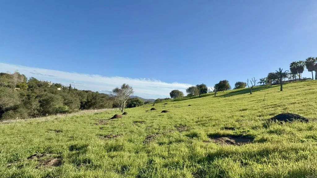 0 Palomar Drive Fallbrook, CA 92028 - Photo 10 of 21