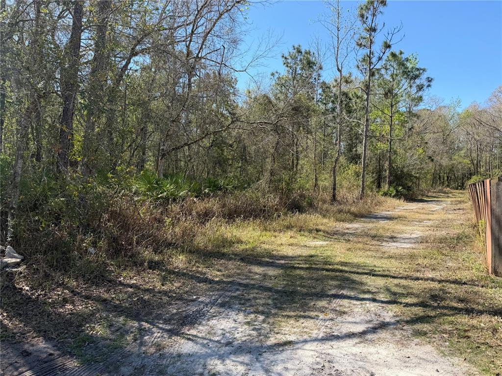 Tbd Tanner Road New Port Richey, FL 34654 - Photo 1 of 1 Gallery Image 1