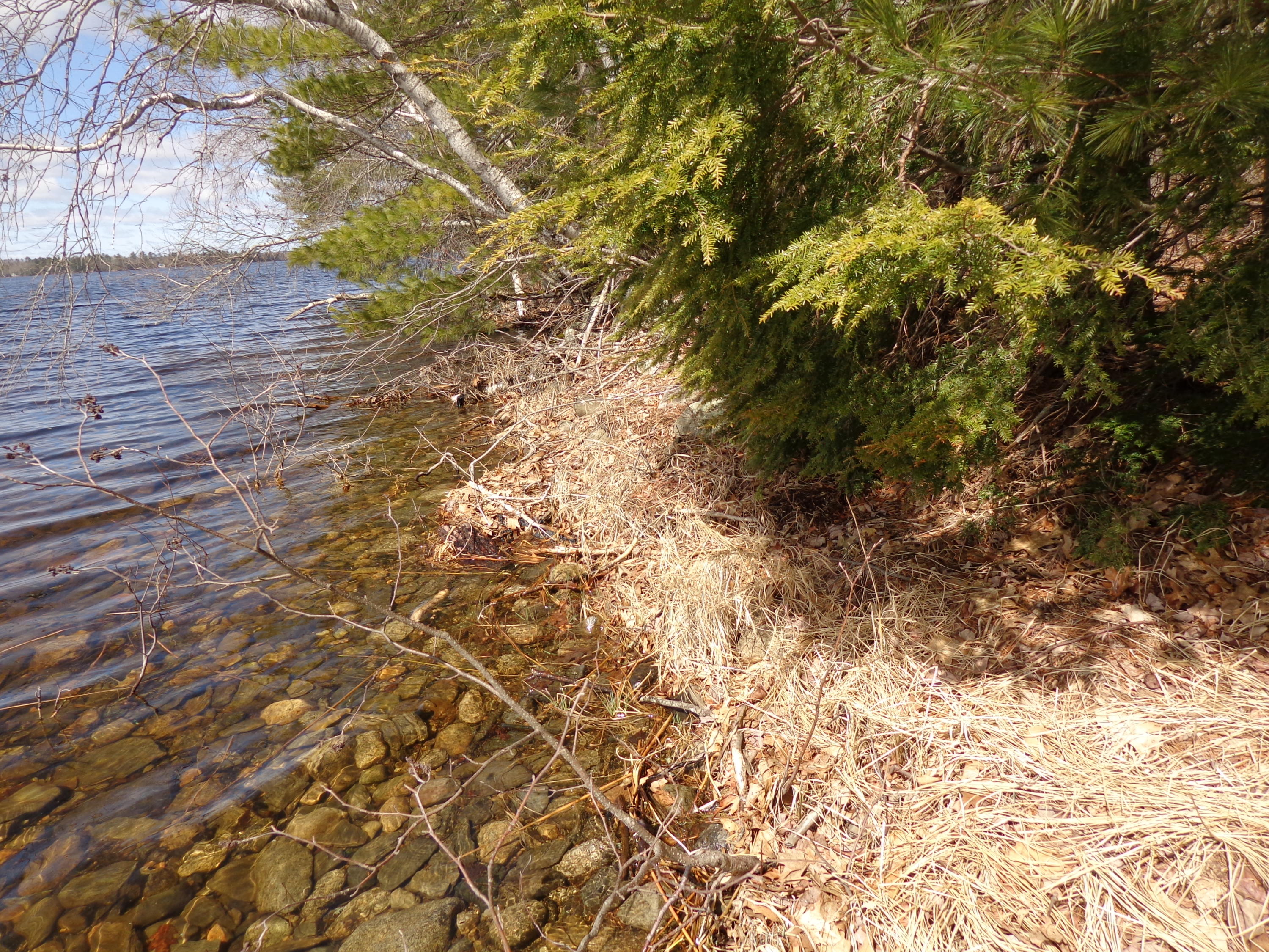 0 North Clary Road Jefferson, ME 04348 - Photo 12 of 24 DSC00082