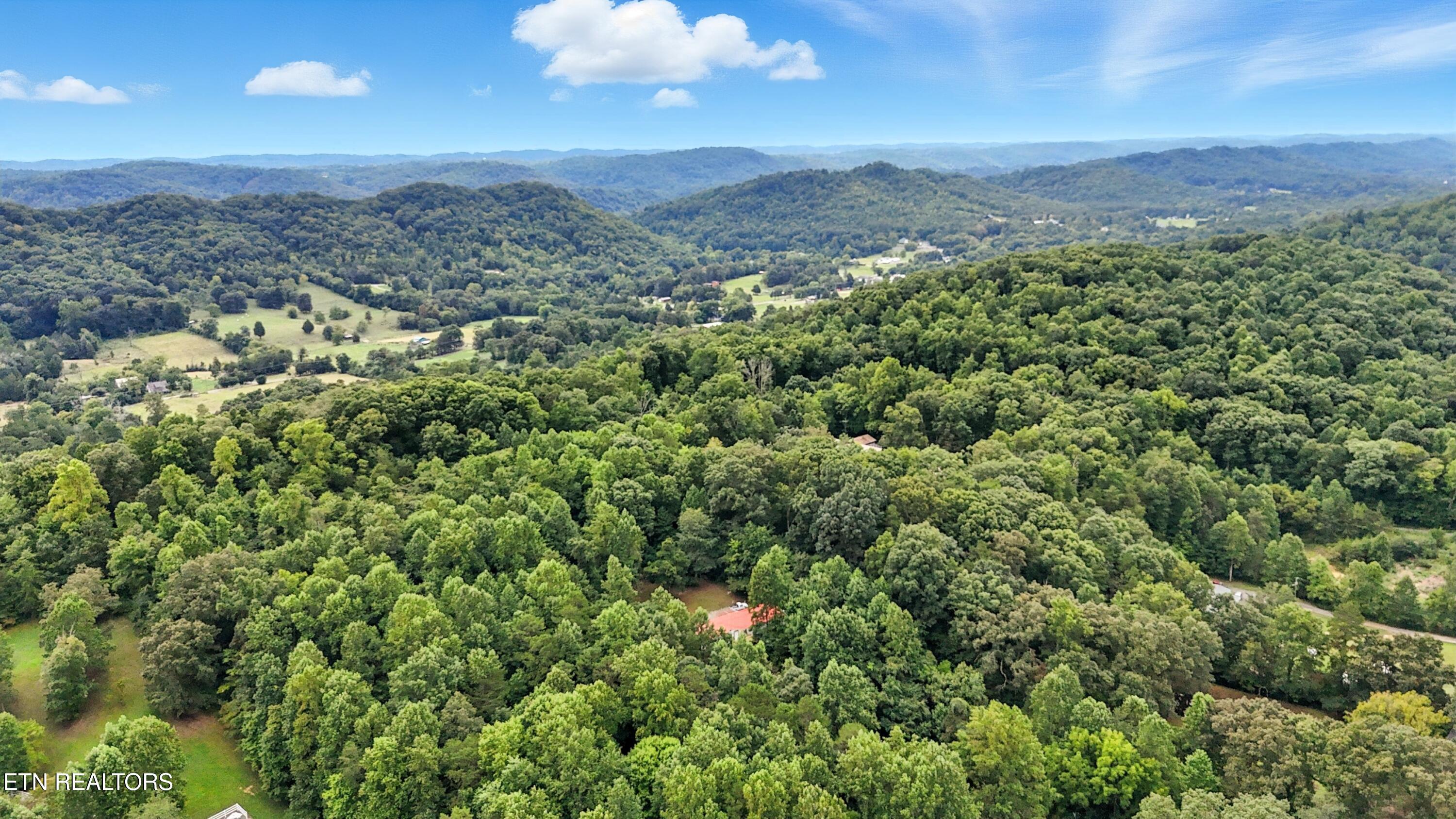 9848 Heiskell Road Heiskell, TN 37754 - Photo 29 of 35 DJI_20250813021342_0044_D