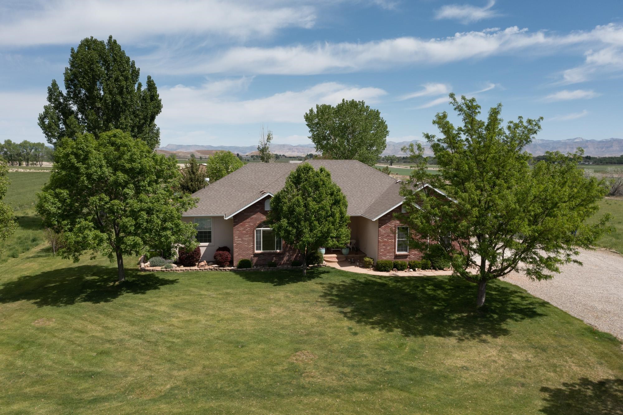 1668 M Road Fruita, CO 81521 - Photo 1 of 34 a view of a house with a big yard and large trees