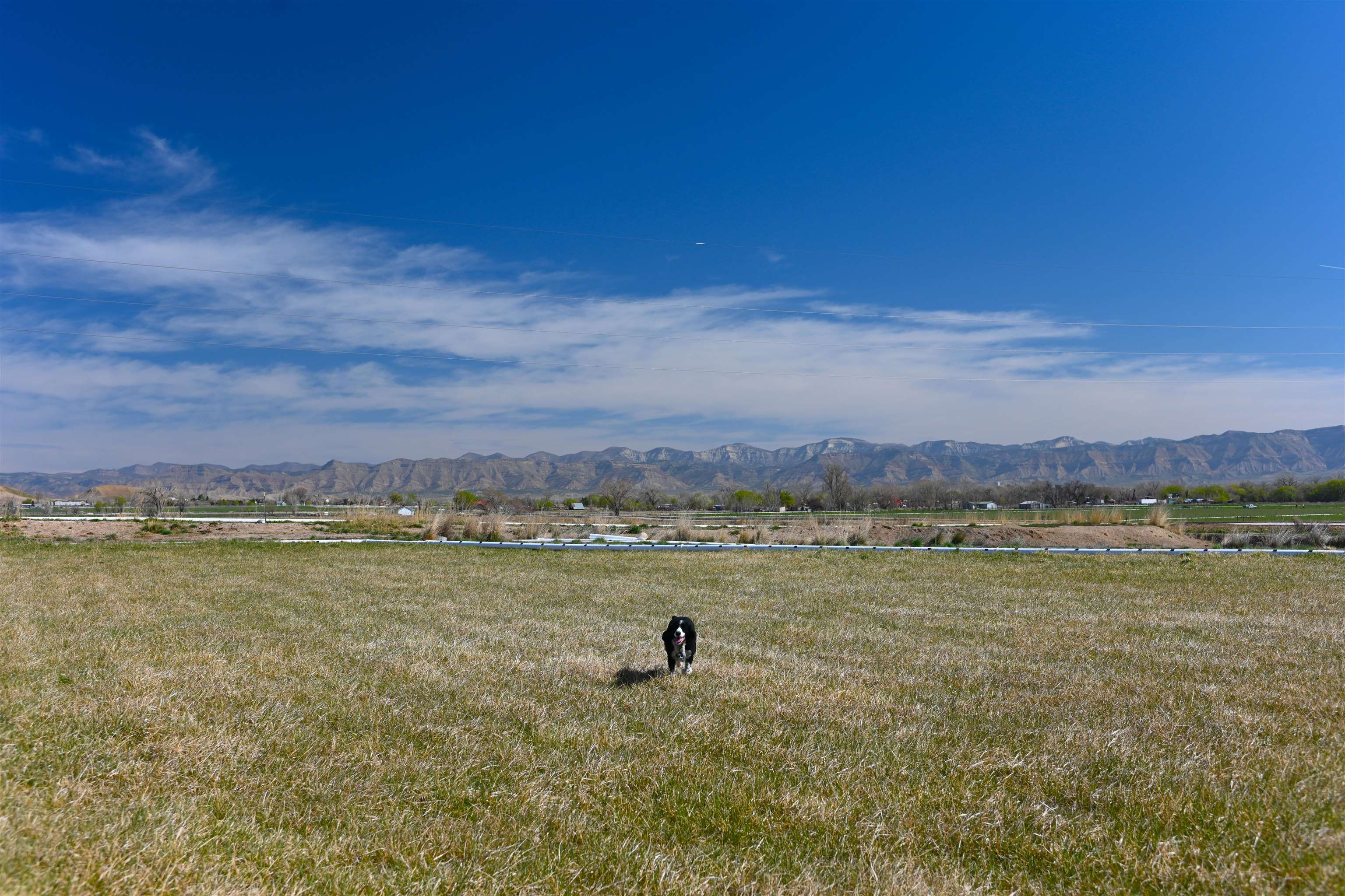 1668 M Road Fruita, CO 81521 - Photo 34 of 34 a view of a lake view and mountain view