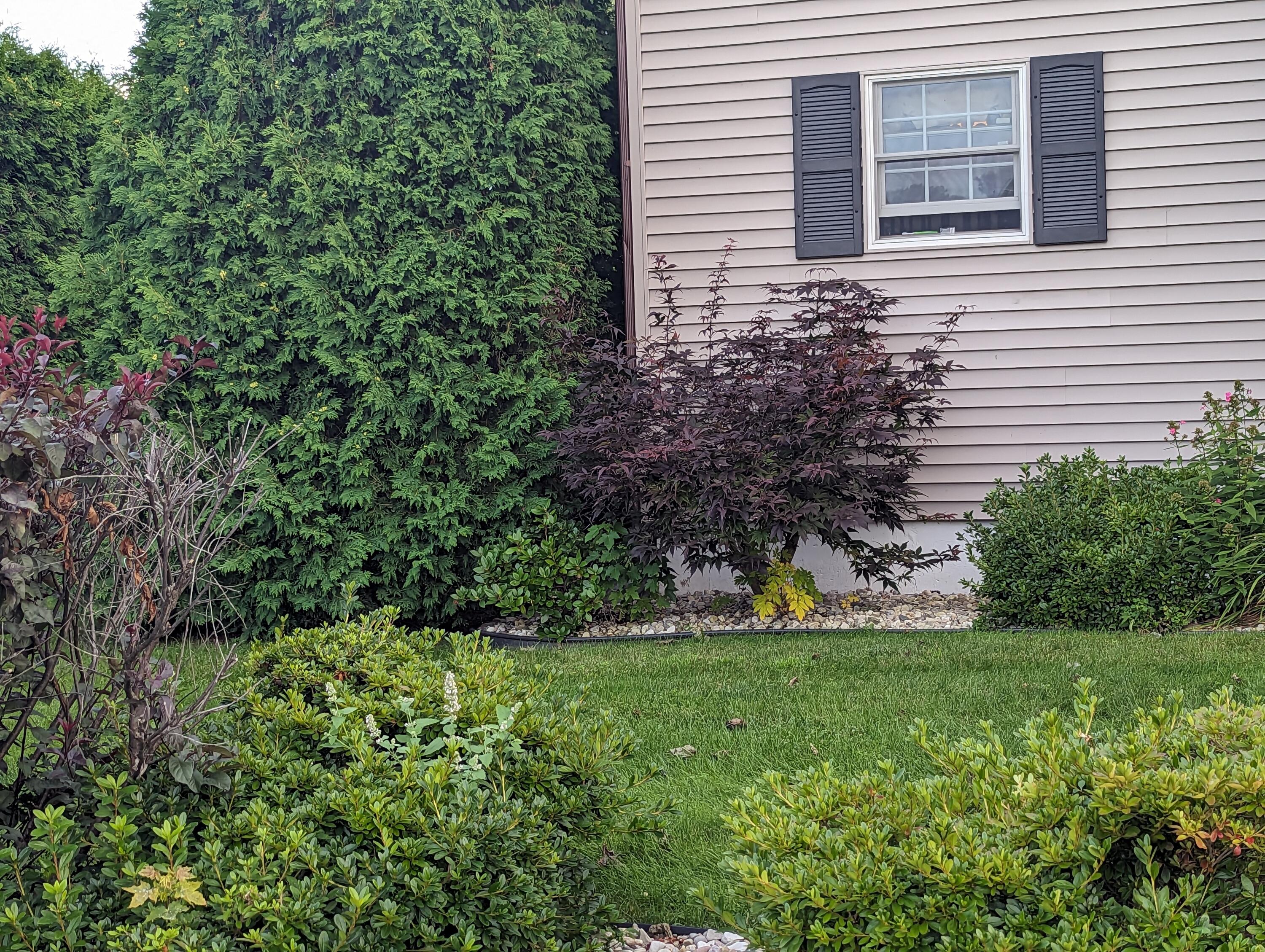 66 Set Point Plattsburgh, NY 12901 - Photo 3 of 25
