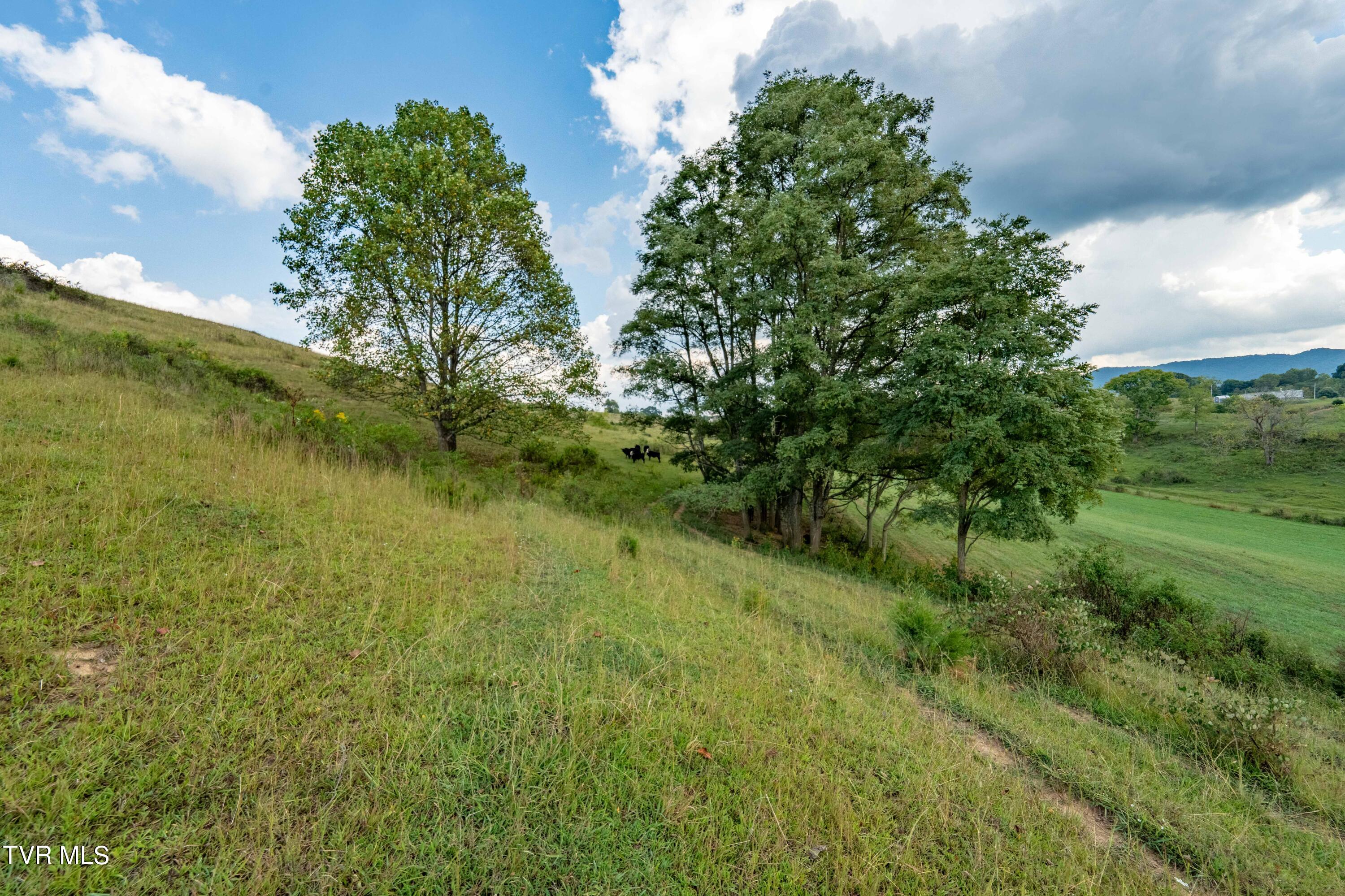 Tbd H Coggins Road Jonesborough, TN 37659 - Photo 42 of 47 104 H Coggins Road (40 of 47)