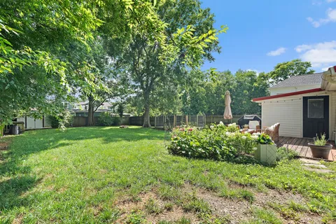 a view of garden with plants and trees