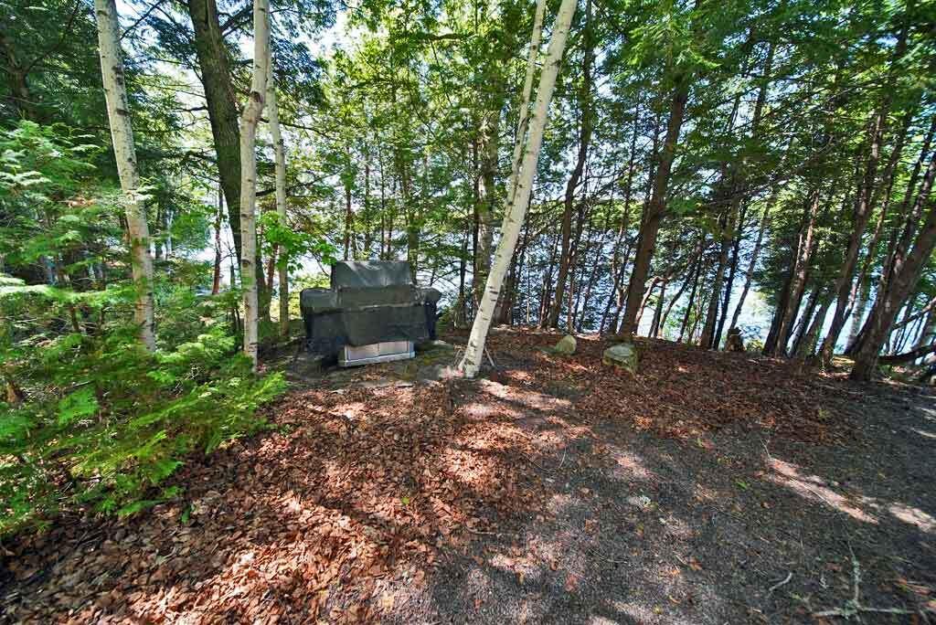 101 South South Shore Road Linneus, ME 04730 - Photo 27 of 95 maine-gas-grill