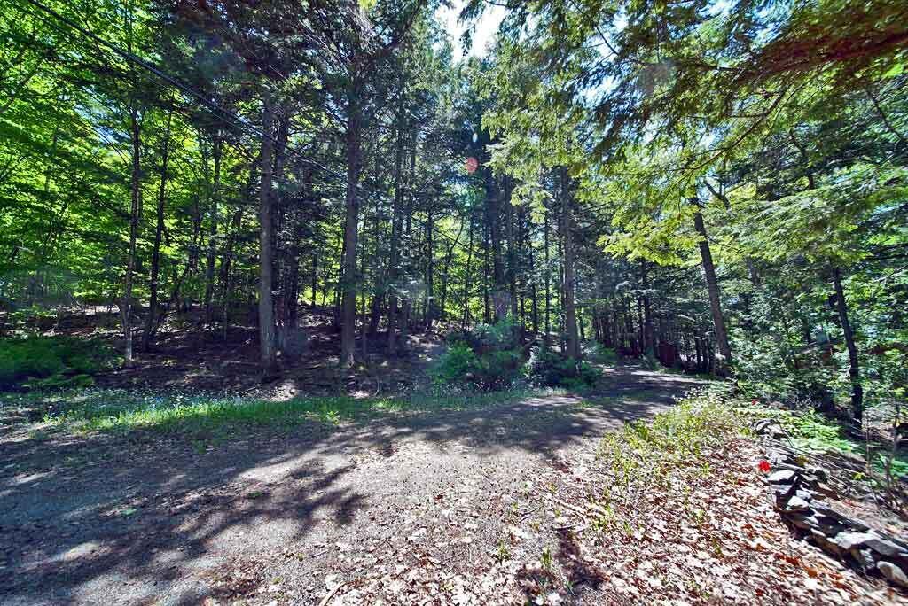 101 South South Shore Road Linneus, ME 04730 - Photo 54 of 95 maine-home-for-sale-land