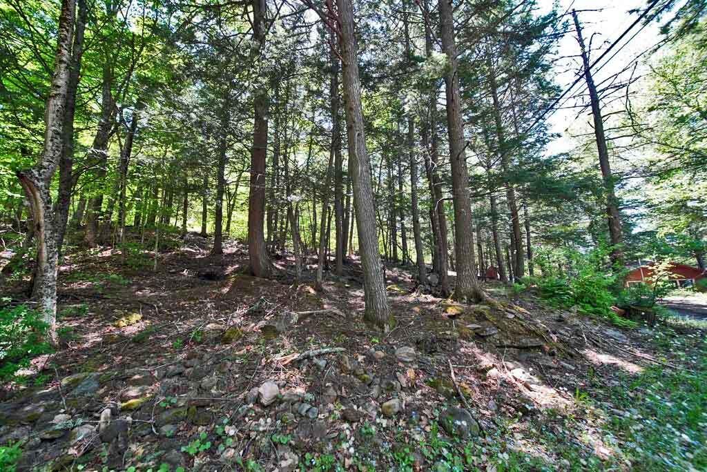 101 South South Shore Road Linneus, ME 04730 - Photo 57 of 95 land-behind-you