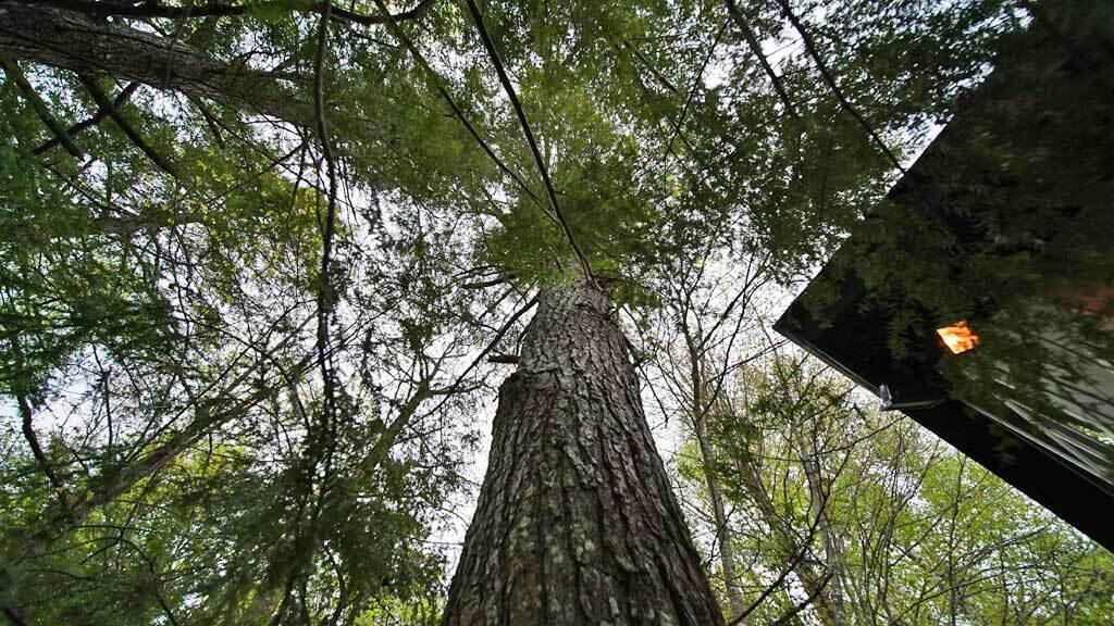 101 South South Shore Road Linneus, ME 04730 - Photo 58 of 95 101-south-shore-lake-2