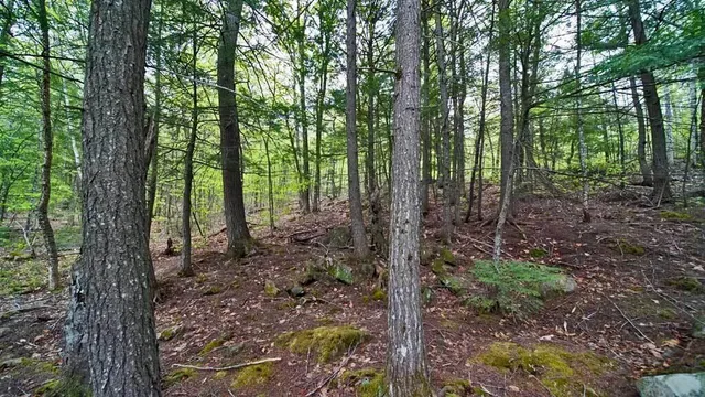 $499,500 | 101 South South Shore Road, Linneus, ME 04730